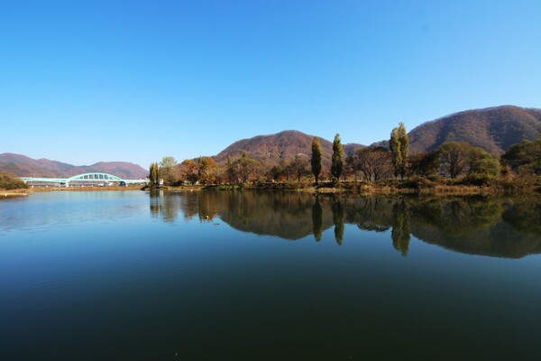자라섬은 1943년 청평댐이 완공되며 북한강에 조성된 인공섬이다.