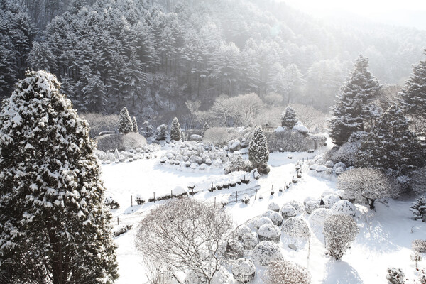 아침고요수목원은 한국 정원의 신비로움과 아름다움을 알리고 싶었던 한상경 삼육대 원예학과 교수와 그의 아내 이영자 씨가 1994년 설립한 수목원이다.