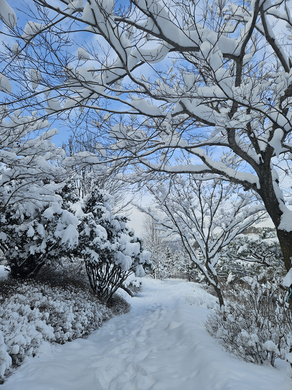 희귀식물원 겨울 전경