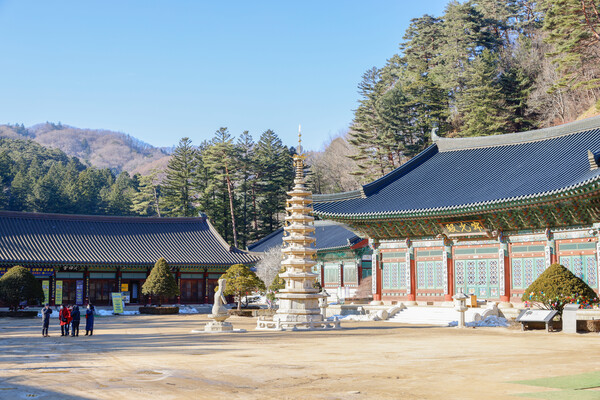 월정사 본존불을 모신 적광전과 팔각구층석탑