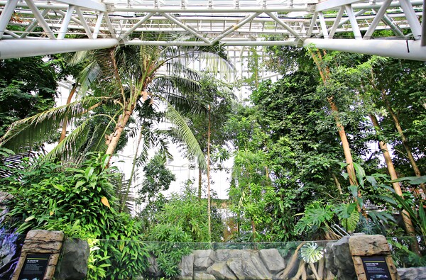 한겨울에 만나는 초록빛 세상