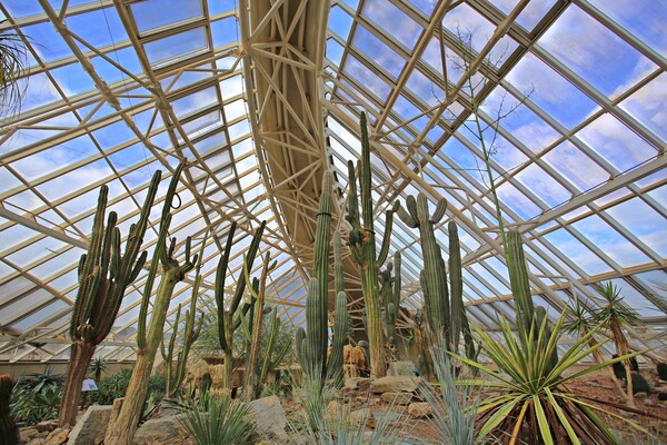 5대기후관 중 사막관 풍경