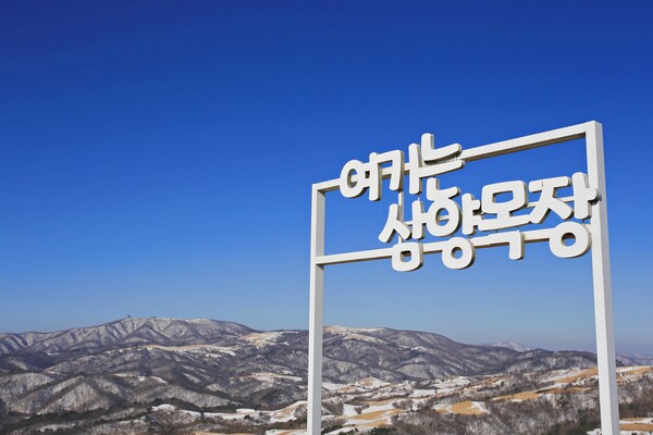 국내 대표 목장으로 손꼽히는 삼양라운드힐