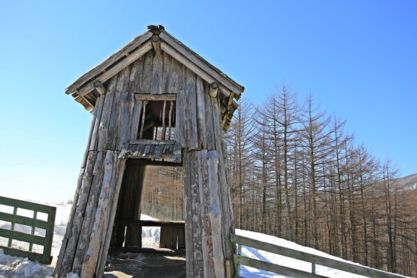 대관령양떼목장의 인기 포토존