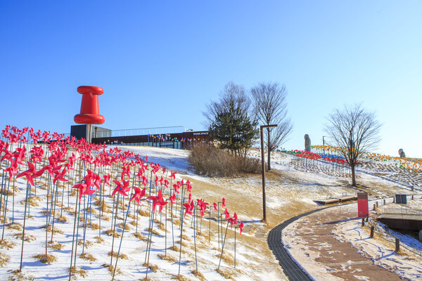 전쟁의 아픔과 평화의 소중함이 깃들어 있는 임진각 평화누리공원