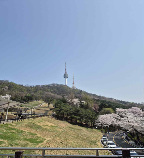 남산구간 전경/자료제공=서울시