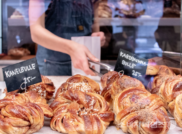 기사의 이해를 돕기 위한 이미지. 해당 기사 내용과 무관함.