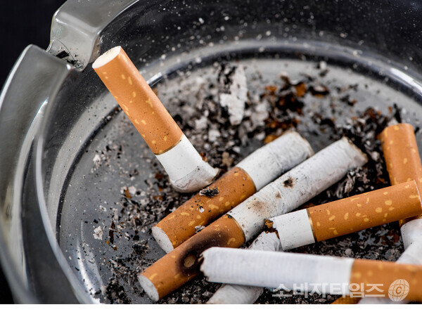 기사의 이해를 돕기 위한 이미지. 해당 기사 내용과 무관함.