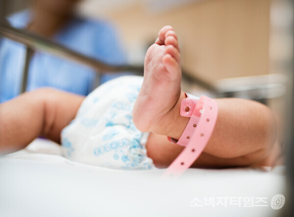 기사의 이해를 돕기 위한 이미지. 해당 기사 내용과 무관함.