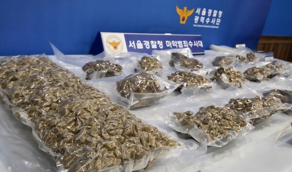 경찰이 압수한 대마 / 자료제공 = 서울경찰청