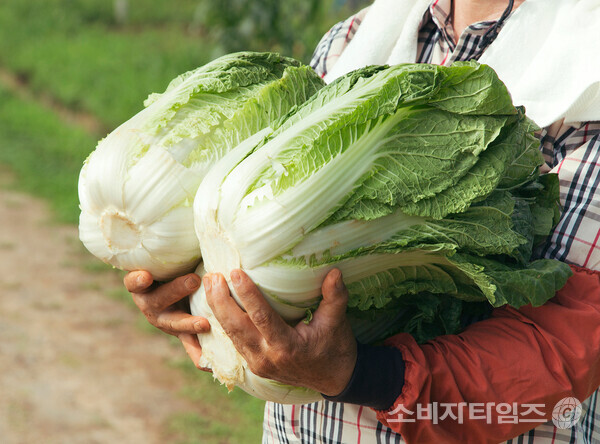 기사의 이해를 돕기 위한 이미지. 해당 기사 내용과 무관함.