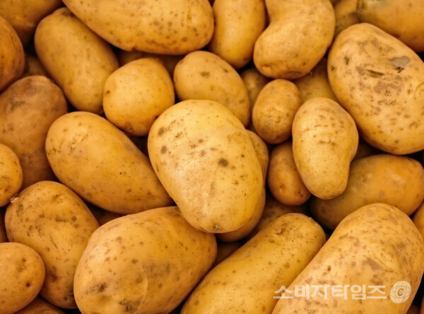 기사의 이해를 돕기 위한 이미지. 해당 기사 내용과 무관함.